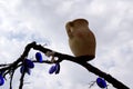 Handmade clay pitcher and greek blue evil eyes hanging on tree