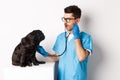 Image of handsome doctor in vet clinic examining dog health, checking pug lungs with stethoscope, standing over white Royalty Free Stock Photo