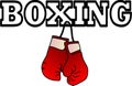 Image of hanging boxing gloves Royalty Free Stock Photo