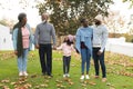 Image of happy multi generation african american family having fun outdoors in autumn Royalty Free Stock Photo