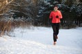 Image of happy sports girl on morning run in winter park Royalty Free Stock Photo