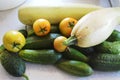 Harwest vegetables from garden in the country