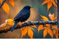 Blackbird Perched on Gnarled Branch: Sleek Feathers Glistening in Sharp Focus Amidst Bokeh Elegance