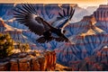 California Condor Soaring: Wings Outstretched, Sharp Focus Feathers Defined Against a Detailed Horizon