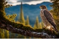 Close-Up Capture: Hawk in Sharp Focus, Feathers Rendered with High Detail, Perched on a Gnarled Branch