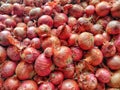 Pile of onions in orange- red tone.