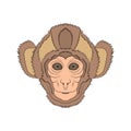 Image of the head is monkey. Vector graphics. Hand drawing