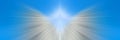 The image of a heavenly angel. ghost with white wings. Royalty Free Stock Photo