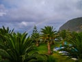 Image of holiday resort with palm trees and rainbow Royalty Free Stock Photo