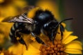 Image of honey bee sucking nectar on a yellow flower on natural background. Insect. Generative ai
