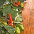 Image of hops and berries of rowanberry on the table close-up Royalty Free Stock Photo
