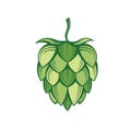 Image of hops