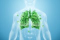 Image human lungs made of green leaves on the background of male body, fresh breath, pneumonia prevention, smoking, modern design