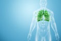 Image human lungs made of green leaves on the background of male body, fresh breath, pneumonia prevention, smoking, modern design