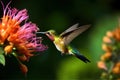 Image of hummingbird in flight feeding on flower nectar on natural background. Birds. illustration, generative AI Royalty Free Stock Photo