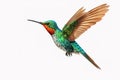 Image of a hummingbird with spread wings in flight on a white background. Wildlife. Bird. Illustration, Generative AI Royalty Free Stock Photo