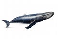 Image of humpback whale on white background. Undersea animals. Illustration, Generative AI Royalty Free Stock Photo