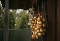 Image - illuminated bundles of onions green, red and garlic hanging against the wooden wall. Onions drying up for storage in