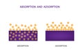 Image illustrates the difference between adsorption and absorption on a molecular surface Royalty Free Stock Photo