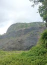 Indian mountain nature and forest