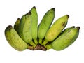 The image of isolated bananas