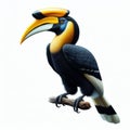 Image of isolated hornbill against pure white background, ideal for presentations