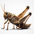 Image of isolated locust against pure white background, ideal for presentations