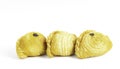 An image isolated three curry puff is spicy flavour food or meal bakery crunchy from Indian or Asia on white background