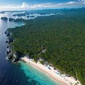 Jansom Bay, Koh Tao, Thailand Birds Eye View Drone Aerial Top Down View of Marine Water Coral Ocean Natural