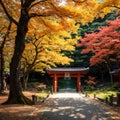 Japan autumn image. Bishamon-do temple in Kyoto city. Japanese red momiji maples. made with Generative AI