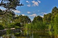 Image of Japanese Garden located on Margit Island of Budapest, Hungary during sunny summer day