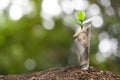 Japanese yen banknote with plant growing on top for business, saving, growth, economic concept Royalty Free Stock Photo