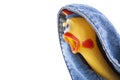 Image of jeans rubber chicken white background Royalty Free Stock Photo