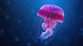Image of a jellyfish floating in the water Royalty Free Stock Photo