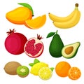 Image of juicy, ripe, bright citrus fruits. Healthly food.