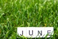 Image June,wooden alphabet June on green grass background with copy space for your text. Concept be used for calendar