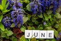 Image June,wooden alphabet June on green grass background with copy space for your text. Concept be used for calendar, month and