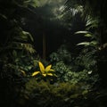 an image of a jungle scene with lots of green plants