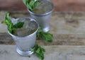 Image for Kentucky Derby in May showing two silver mint julep cups with crushed ice and fresh mint in a rustic setting. Royalty Free Stock Photo