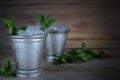 Image for Kentucky Derby in May showing two silver mint julep cups with crushed ice and fresh mint in a rustic setting. Royalty Free Stock Photo