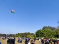 Image of kite flying on the eve of makar sankranti