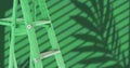 Image of ladder over leaf shadow on green background