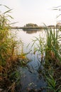 View of a lake in Vacaresti Nature Park, Bucharest City, Romania Royalty Free Stock Photo