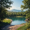 a natural forest on the lake shoreline.