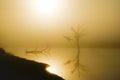 Image of a lake and a tree with the sunrise in backlight Royalty Free Stock Photo