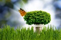 Image lamp, crown of the tree and butterfly.