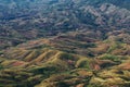 Image of Landscape photo of mountain hill forest.