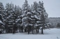 After snowfall in the city of Kandalaksha. December 2019 year Royalty Free Stock Photo