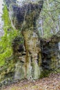 Image of a large asymmetrically shaped rock with green, black, beige spots