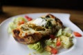 Large Burrito on a white plate Royalty Free Stock Photo